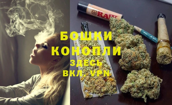 молекула духа Аркадак