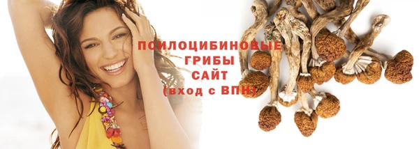 трава Армянск