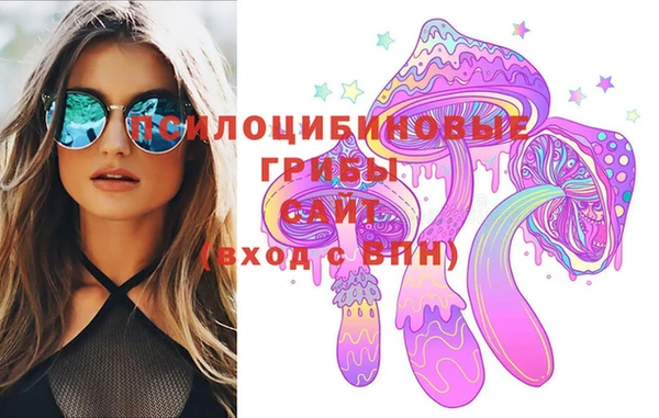 молекула духа Аркадак