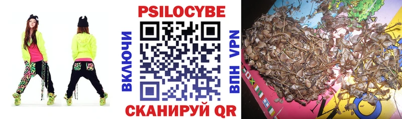 Псилоцибиновые грибы Cubensis мега ССЫЛКА Ельня